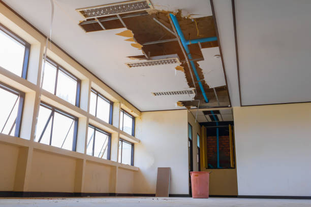 Best Mold removal after water damage  in St Augustine, FL
