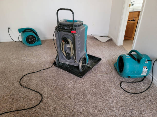 Best Emergency water damage restoration  in St Augustine, FL