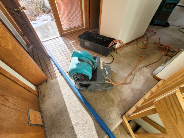 Best Water damage restoration near me  in St Augustine, FL
