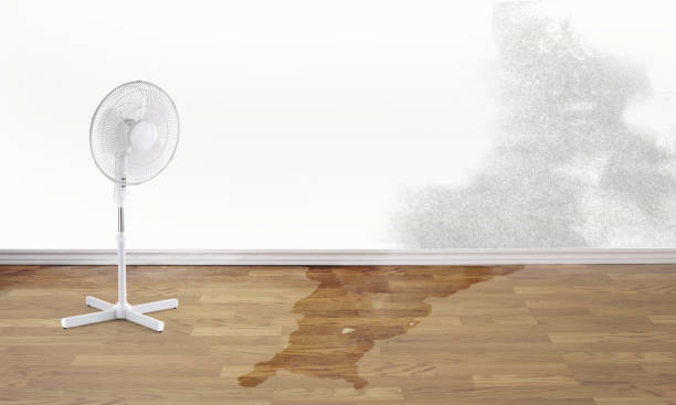 Best Sewage cleanup and water damage restoration  in St Augustine, FL