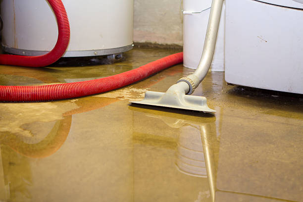 Best 24/7 water damage repair  in St Augustine, FL