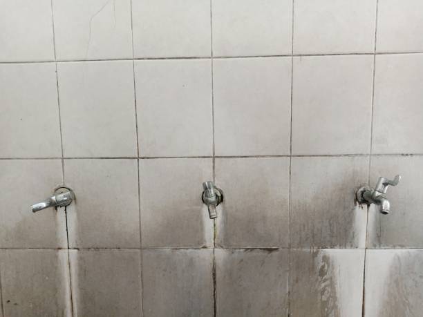 Best Commercial water damage restoration  in St Augustine, FL