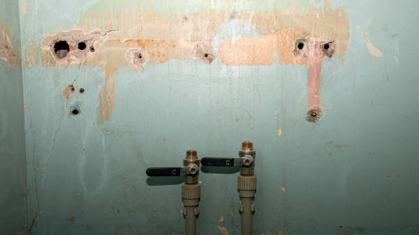 Best Fire Damage Restoration  in St Augustine, FL