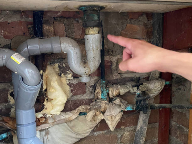 Best Professional water damage repair  in St Augustine, FL