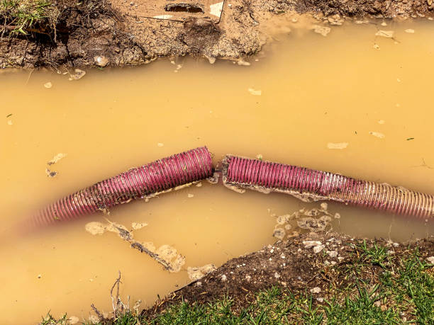 Best Water damage restoration near me  in St Augustine, FL