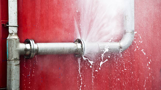 Best Water damage contractors near me  in St Augustine, FL